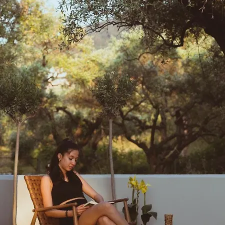 Essentia Comfy Daire Limenas (Thasos)