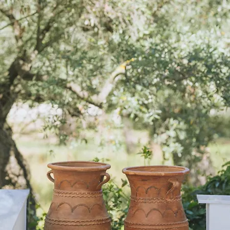 Lejlighed Essentia Comfy Limenas (Thasos)